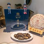 WhatsApp Image 2025-08-22 at 7.44.07 AM